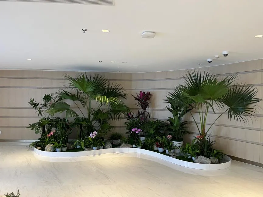 宁波鄞州花木租赁服务好><div class=